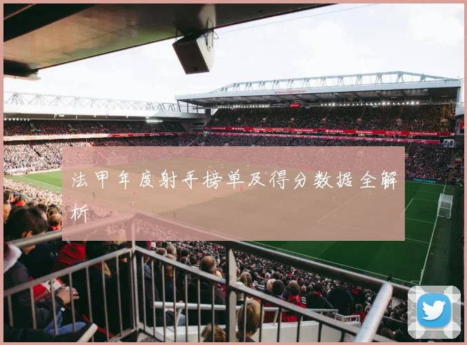 法甲年度射手榜单及得分数据全解析